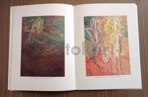 Mehmet Güleryüz - Yapı Kredi Sergi Katalog, 1996 - Görsel 3