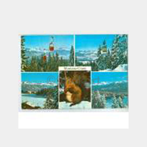 1978 Kandilli Abut Ailesi Kartpostal - Montana - Görsel 2