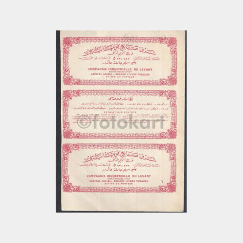 1925 İzmir Levant Sanayi Şirketi Hisse Senedi - Görsel 2