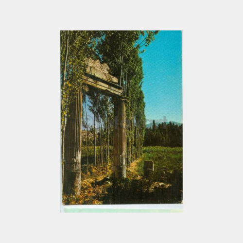 1968 Aydın Geyre Afrodisias Görünüş Kartpostal