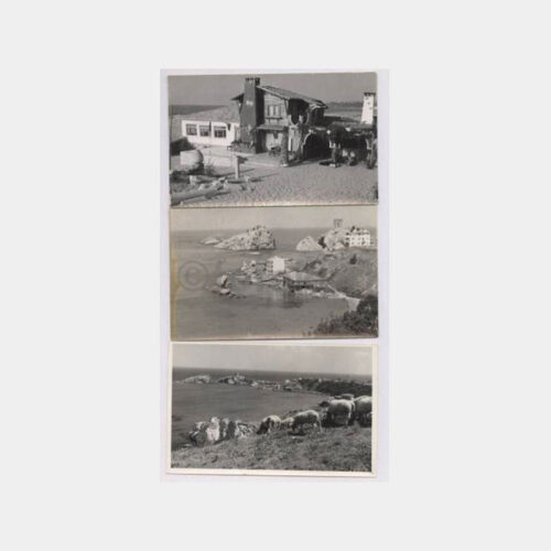 Şile Görünüşler 3 Adet Fotoğraf
