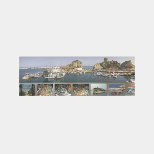 2009 Şile Panoramik Görünüş Kartpostal