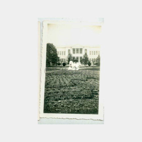 1940 Dolmabahçe Sarayı Aslan Heykel Fotoğraf