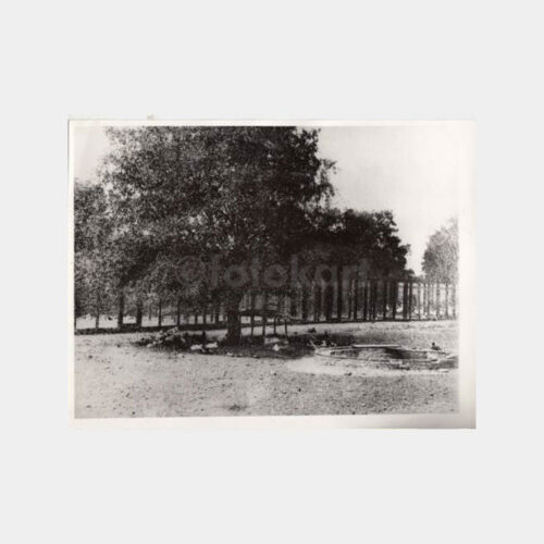 1920 Bursa Ziraat Mektebi Konulu Fotoğraf