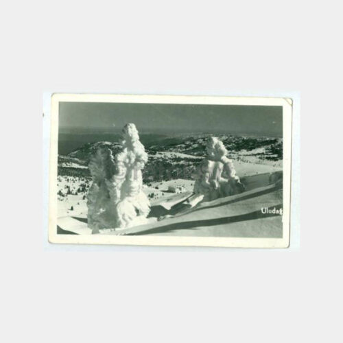 1940 Uludağ Genel Görünüş Kartpostal