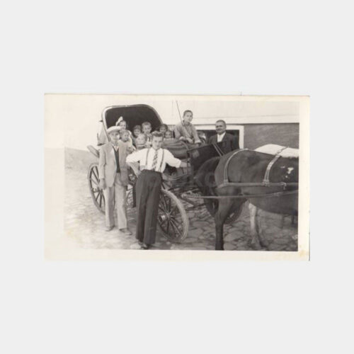 1959 Edirne Fayton Konulu Fotoğraf