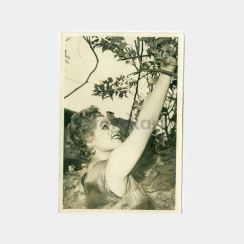 1954 Muzaffer Nebioğlu -Bir Şoförün Hayatı- Fotoğraf