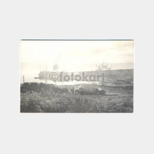 Ayancık Tomruk Nakliyatı Konulu Fotoğraf