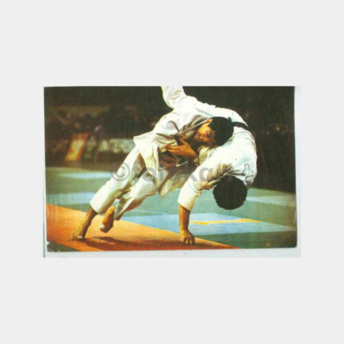 Judo Sporu Konulu Kartpostal