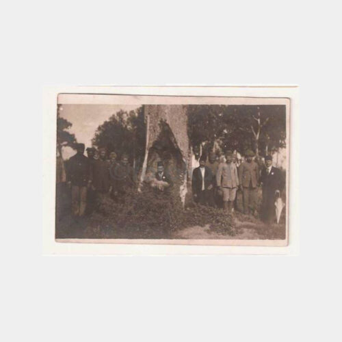 1914 Damgalı Yeniçeri Ağacı Nadir Fotokart