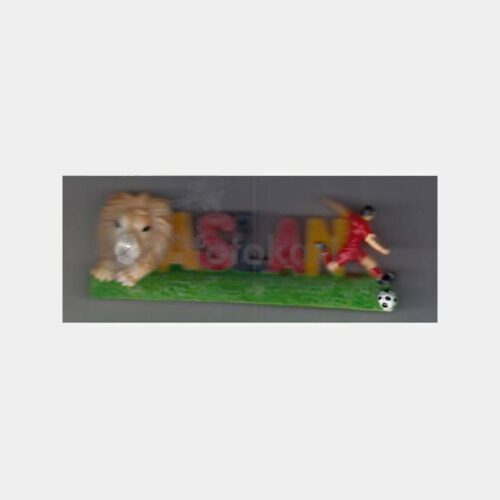 Aslan Galatasaray Konulu Magnet