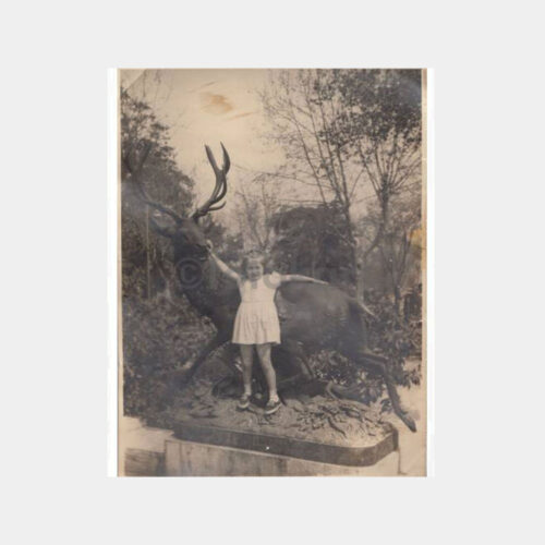 1950 Taksim Gezi Parkı Geyik Heykeli Konulu Fotoğraf