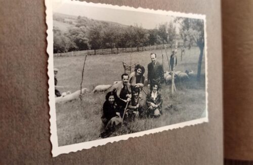Bolu Abant (?) Gezisi Fotoğrafları Nostaljik Albüm - Görsel 7