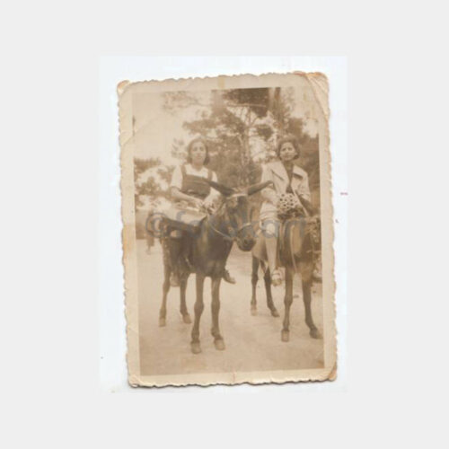 1937 Büyükada Eşekli Gezi Konulu Fotoğraf