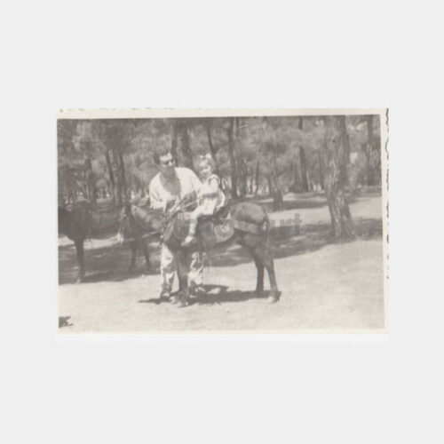 Büyükada Eşekli Gezi Konulu Fotoğraf