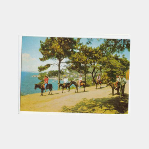 1975 İstanbul Büyükada Eşekli Gezisi Görünüşü Kartpostal