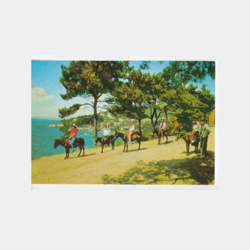 1968 Büyükada Eşekli Gezisi Görünüş Kartpostal
