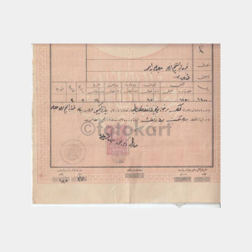 1910 Osmanlı Tapu Belgesi - Görsel 2