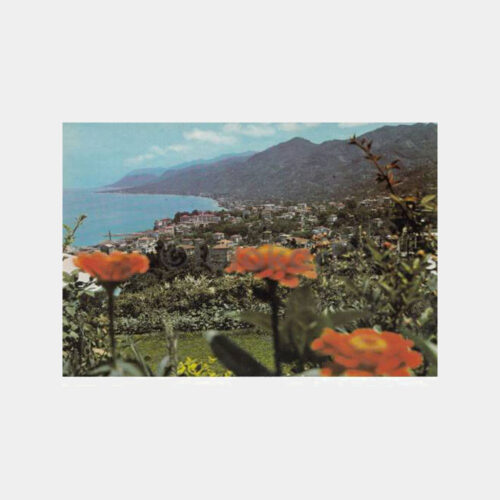 1974 Rize Çay Diyarı Görünüş Kartpostal