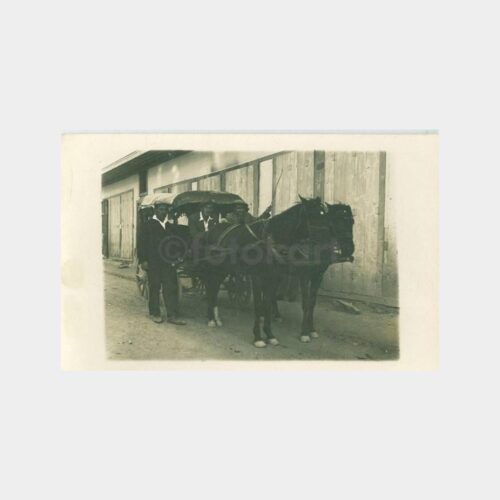 1930 Fayton - At Arabası Görünüş Fotoğraf
