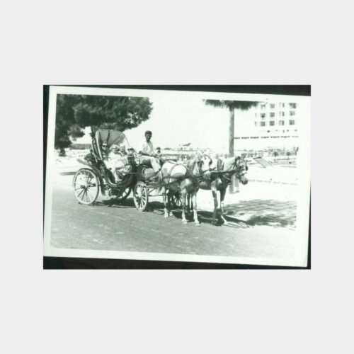1970 Fayton Gezisi Konulu Fotoğraf