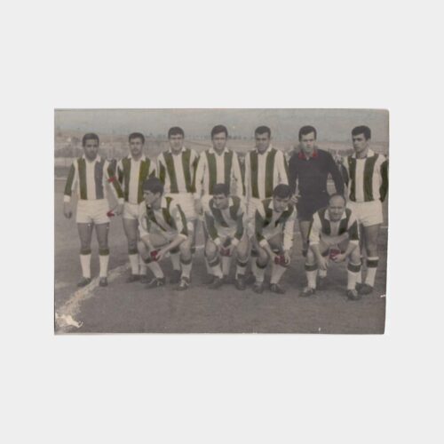 Yeşil Beyaz Renkli Futbol Takımı Konulu Fotoğraf