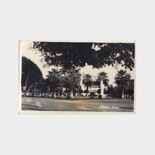1960 İzmir Fuarı Palmiyeler Konulu Kartpostal