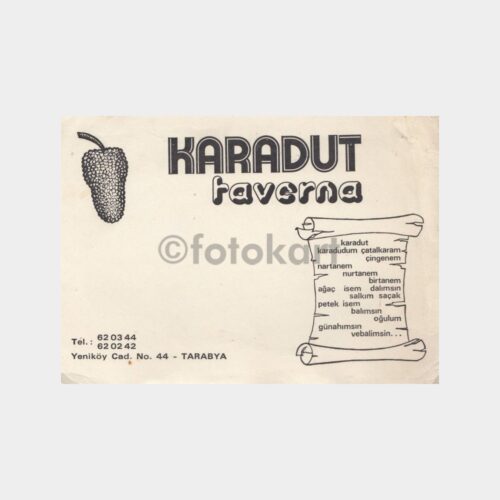 1970 Tarabya Karadut Taverna Fotoğraf Kabı