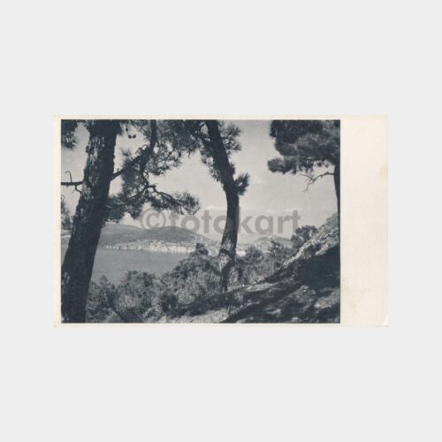 1940 İstanbul Prens Adaları Görünüş Kartpostal