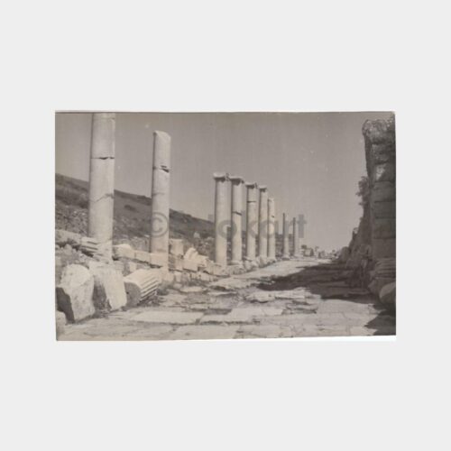 1960 Efes Antik Kenti 3 Adet Arşiv Fotoğraf