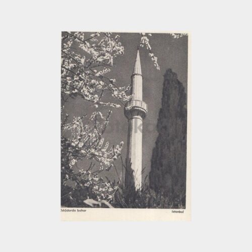 1940 Üsküdarda Bahar -Tasvir Yayınevi- Kartpostal