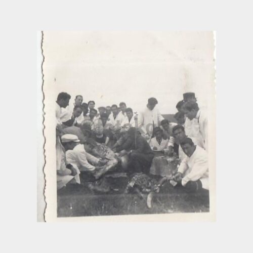 1939 Veteriner Fakültesi Konulu 5 Adet Fotoğraf - Görsel 2