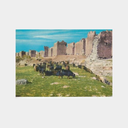 1975 Diyarbakır Surları Görünüş Kartpostal