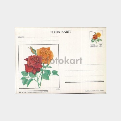 1981 Gül Resimli Posta Kartı