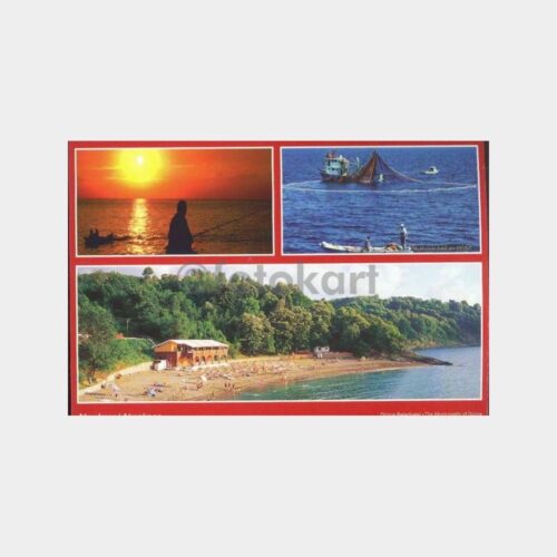 Akçakoca Muhtelif Görünüş Yeni Baskı Kartpostal