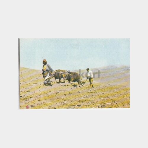 1975 Anadolu Yaşam Konulu Kartpostal