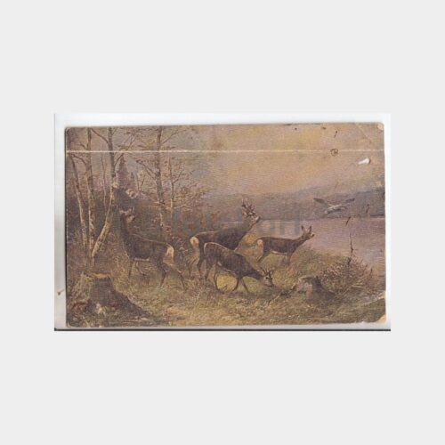 Av ve Avcılık Temalı Yabancı Tablo Kartpostal No. 01