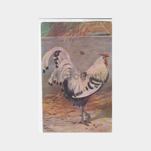 Av ve Avcılık Temalı Yabancı Tablo Kartpostal No. 03