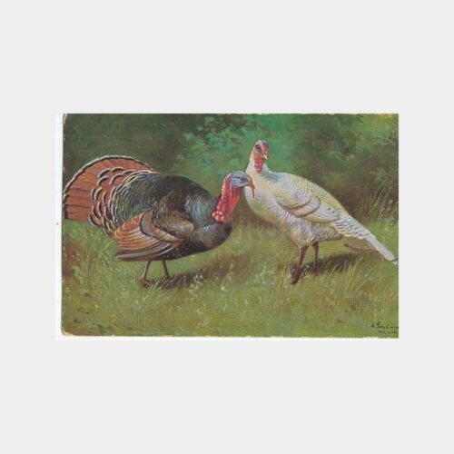 Av ve Avcılık Temalı Yabancı Tablo Kartpostal No. 06