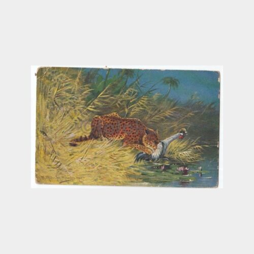 Av ve Avcılık Temalı Yabancı Tablo Kartpostal No. 15