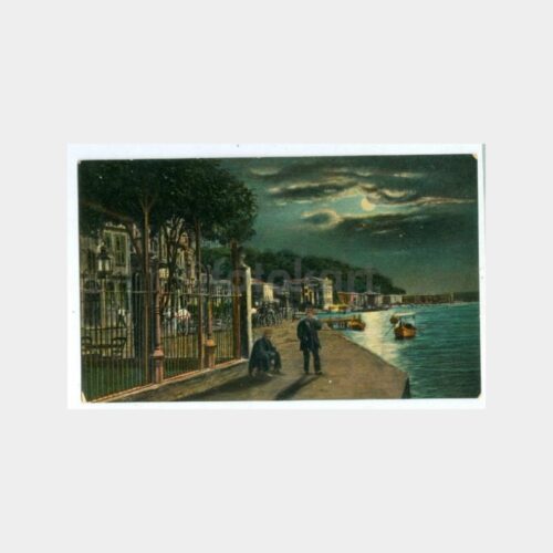1910 Boğaziçi Büyükdere Görünüş Kartpostal