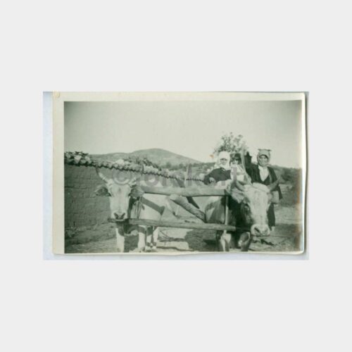 1936 Köyde Kağnı Arabası Görünüş Fotoğraf