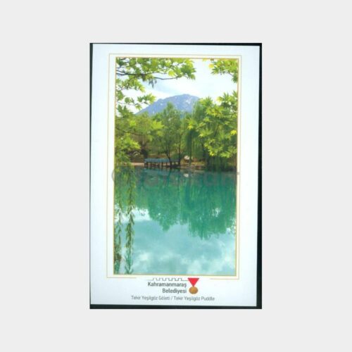 2012 Kahramanmaraş Konulu Kartpostal