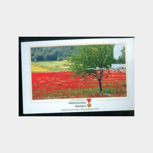 2012 Kahramanmaraş Konulu Kartpostal