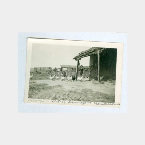 1944 Ümraniye Sarıgazi Çiftliği Konulu Fotoğraf