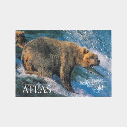 atlas