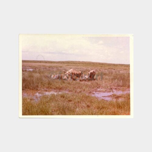 1973 Safari - Av ve Avcılık Konulu 3 Adet Fotoğraf