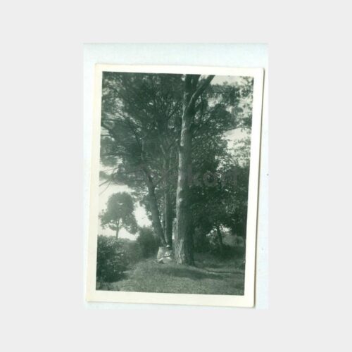1937 Allahverdi Bahçesi - Kadınlar Fotoğraf