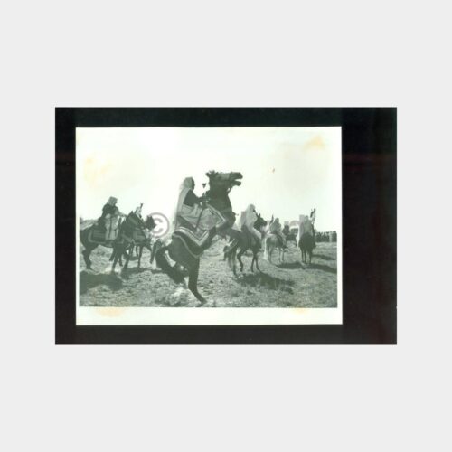 1958 Celal Bayar Libya Gezisi Albümü Fotoğraf
