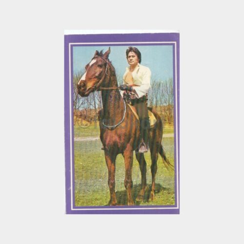Türk Sineması Cüneyt Arkın Malkoçoğlu Konulu Kartpostal